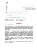 Pericia psiquiatrica y psicologica