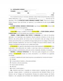 Formato de poder irrevicable