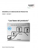 LAS FASES DEL PRODUCTO