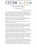 Ensayo de El Papel del Abogado