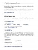 Cuestionario puestos diversos