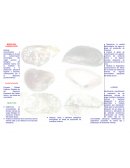 TRIPTICO DE TOXICOLOGIA