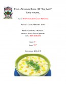 Proyecto: Platillo Típico de Querétaro receta: Sopa de Elote