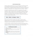 Visión Organizacional