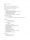 Plan de Trabajo Anual 2019 Objetivo Ofrecer un servicio personalizado y de calidad a todo nivel