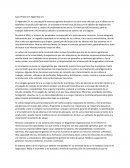 Caso Práctico El Algarrobo S.A.