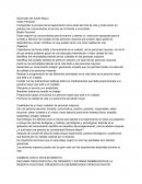 Diplomado del Adulto mayor