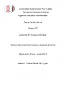 Evidencia #1 “Ensayo Individual” “Derecho de los derechos Humanos a través de la historia”