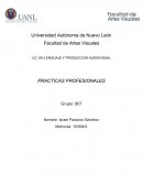 PRACTICAS PROFESIONALES Primera fase: Conocimiento de la Organización Receptora