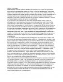 Cuál es la estrategia