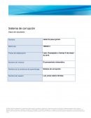 Sistemas de corupcion