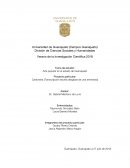 Arte Popular en Guanajuato