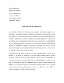 Proyecto Ingeniería de Software