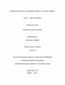 INTERRELACIÓN ENTRE LAS ORGANIZACIONES Y EL TALENTO HUMANO