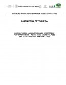 DIAGNOSTICO DE LA GENERACION DE RECORTES DE PERFORACION BASE – AGUA, BASE- ACEITE DEL POZO DEL ACTIVO INTEGRAL SAMARIA – LUNA