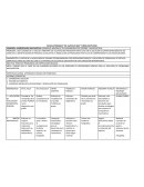 PLANEACION RUTA DE MEJORA