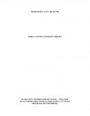 TRABAJO DE LA LEY 100 DE 1993