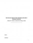 POLITICAS DE CREDITO PARA PERSONAS CON GIRO O PERSONAS JURIDICAS