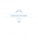 CUESTIONARIO DE TOPOGRAFIA