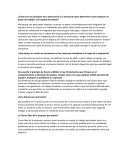 Actividad Manejo de equipos de trabajo