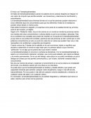 El Inicio a la Transdisciplinariedad