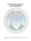 PROCESO DE ATENCION DE ENFERMERIA HOSPITAL ROOSVELTH DE GUATEMALA