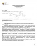 Generalidades de la hormona gastrina