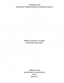 PRODUCCIÓN Y COMERCIALIZACIÓN DE ACCESORIOS EN TRAPILLO