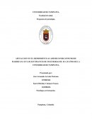 Afectacion en el rendimiento academico por consumo de marihuana en los estudiantes de ingenierias de 18 a 20 años de la Universidad de Pamplona