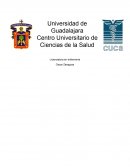Trastornos del espectro autista: Problemas de comunicación en los niños