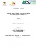 PLAN DE ESTRATEGIAS INGENIERÍA EN BIOTECNOLOGÍA