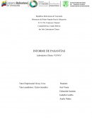 Proyecto de pasantías E.T.S De Francisco Vitanza