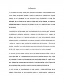 Ensayo de libro ¨23 maestros de corazón¨