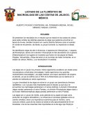 LISTADO DE LA FLORÍSTICO DE MACROALGAS DE LAS COSTAS DE JALISCO, MÉXICO