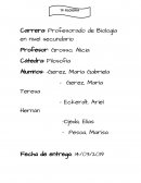 Analisis filosofico de la pelicula casas de fuego