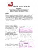 DETERMINACION DE CARBONATOS Y FOSFATOS