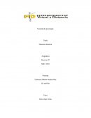 ¿La Neurosis obsesiva en que se relaciona con la Religión?