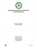 Análisis de la empresa de tendidos y bandas elásticas QEL DOMINICANA S.A