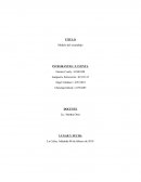 RESUMEN – EL TREN DE LA VIDA