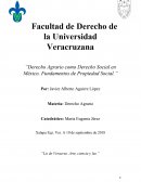 Propiedad Social en México