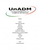 Tipologías victímales