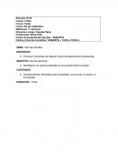 Efemérides Día de la Bandera