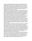 Etapas de la vida de una persona