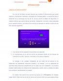 Neurociencia. ¿Qué es una red de nervios?