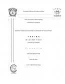 Beneficios Fiscales de los Deducibles en la Declaración de Personas Físicas