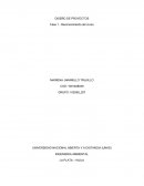 INGENIERIA AMBIENTAL LA PLATA – HUILA