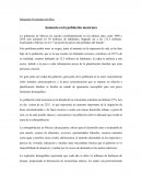 Aumento en la población mexicana