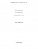 INFORME DE LABORATORIO DE JEAN PIAGET