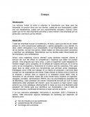 Lectura de Marketing