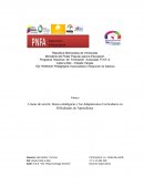 Líneas de acción, líneas estratégicas y las Adaptaciones Curriculares en Dificultades de Aprendizaje